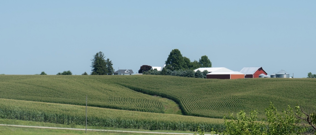 a flowing green farm field in rural Iowa